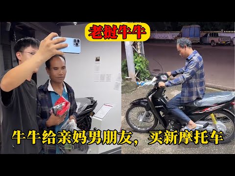 那不勒斯转,会遇阻,意媒称格雷,世界杯竞猜,2026世界杯,竞猜技巧,赛事分析,投注策略